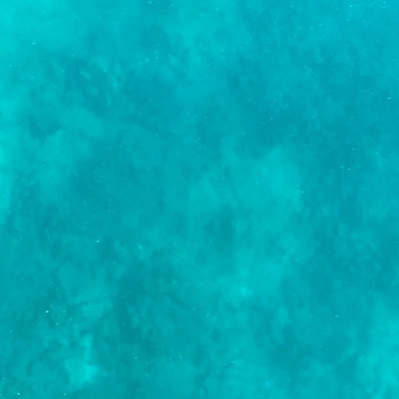 Meet your Posher, Ahmed - Picture 1 of 1